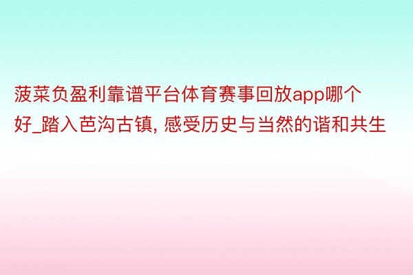 菠菜负盈利靠谱平台体育赛事回放app哪个好_踏入芭沟古镇, 感受历史与当然的谐和共生